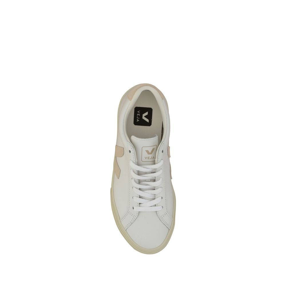Top-down view of a white low-top leather sneaker with beige accents and white laces.