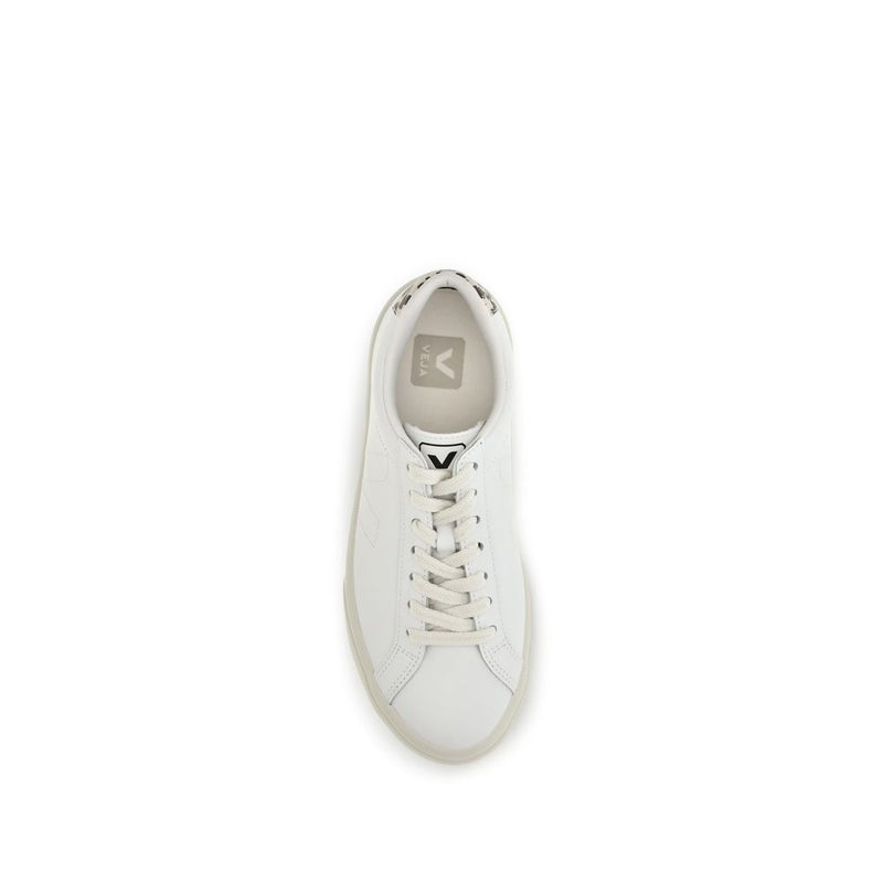 Top-down view of a white leather low-top sneaker with laces and patterned heel detail.