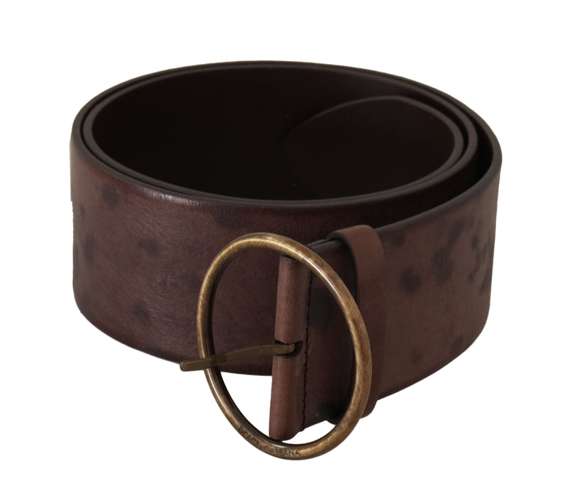 Dark brown wide leather belt rolled up with a round antique brass buckle
