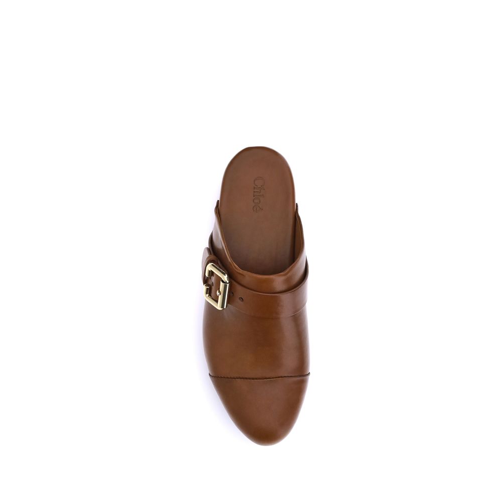 Brown leather sandal with a gold buckle on a white background