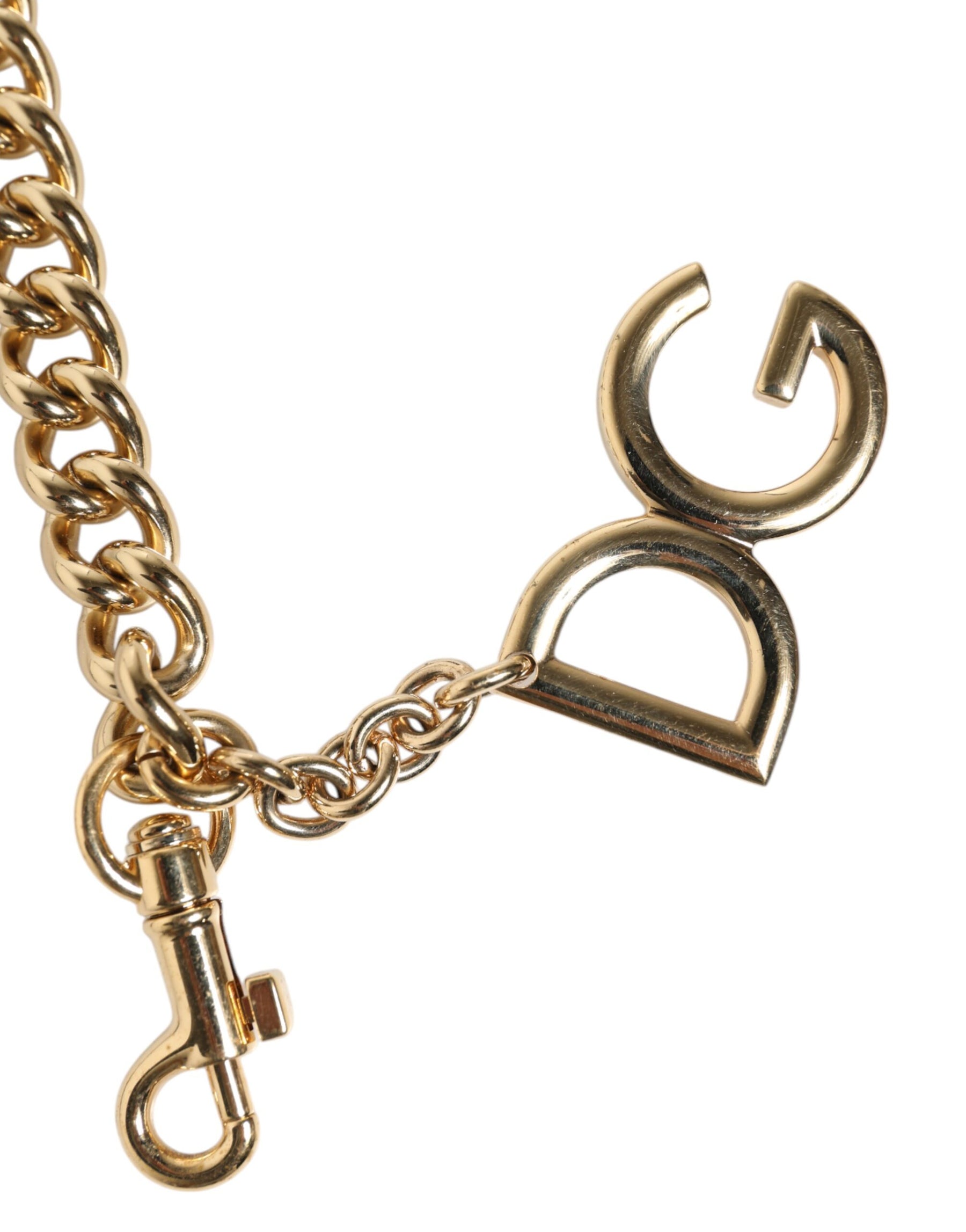 Dolce & Gabbana Brown Leopard Gold Brass Chain Accessory Shoulder Strap