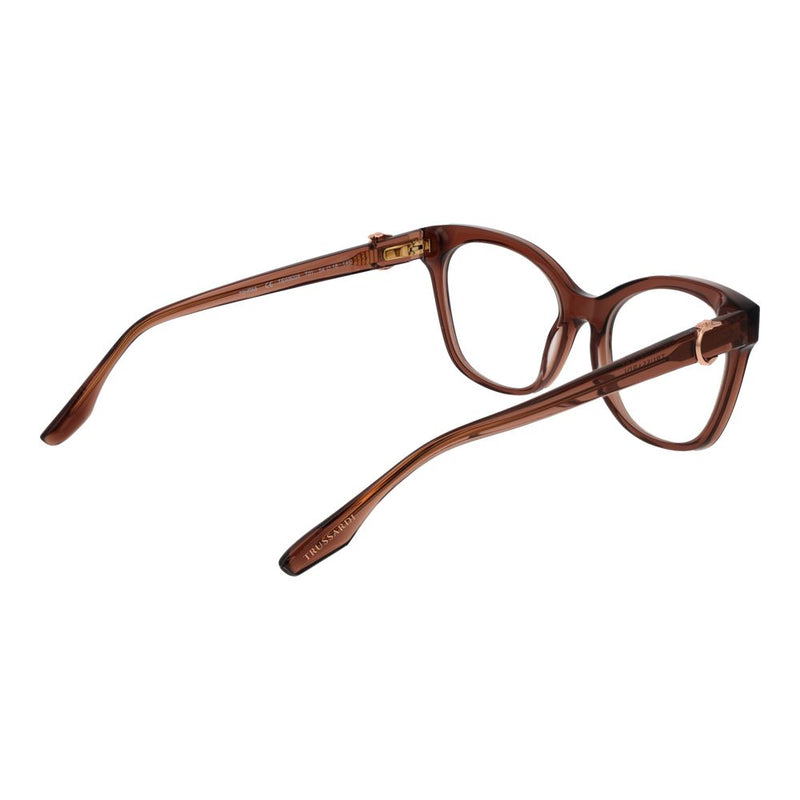 Brown acetate eyeglass frames with cat-eye shape on a white background