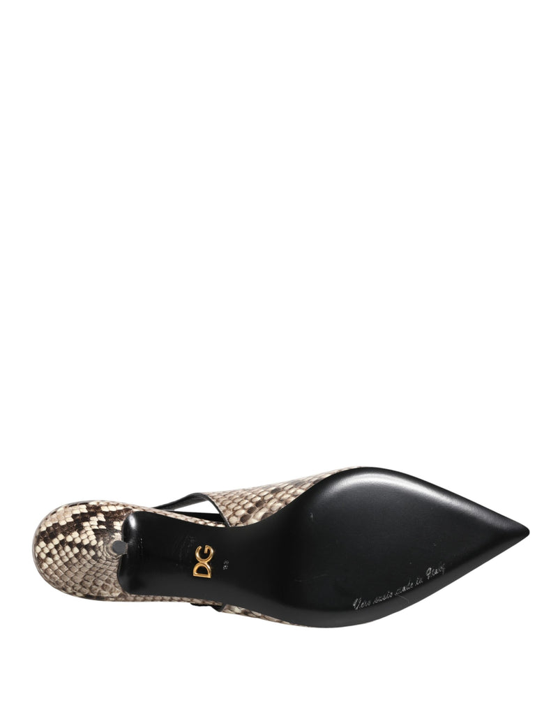 Dolce & Gabbana slingback heels in multicolor snakeskin leather with a pointed toe and black sole featuring DG logo.